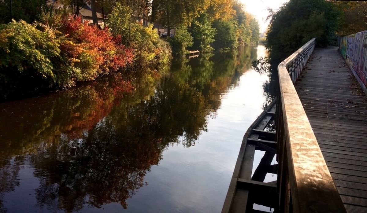 À Rennes, la nature en ville à un bel avenir devant elle