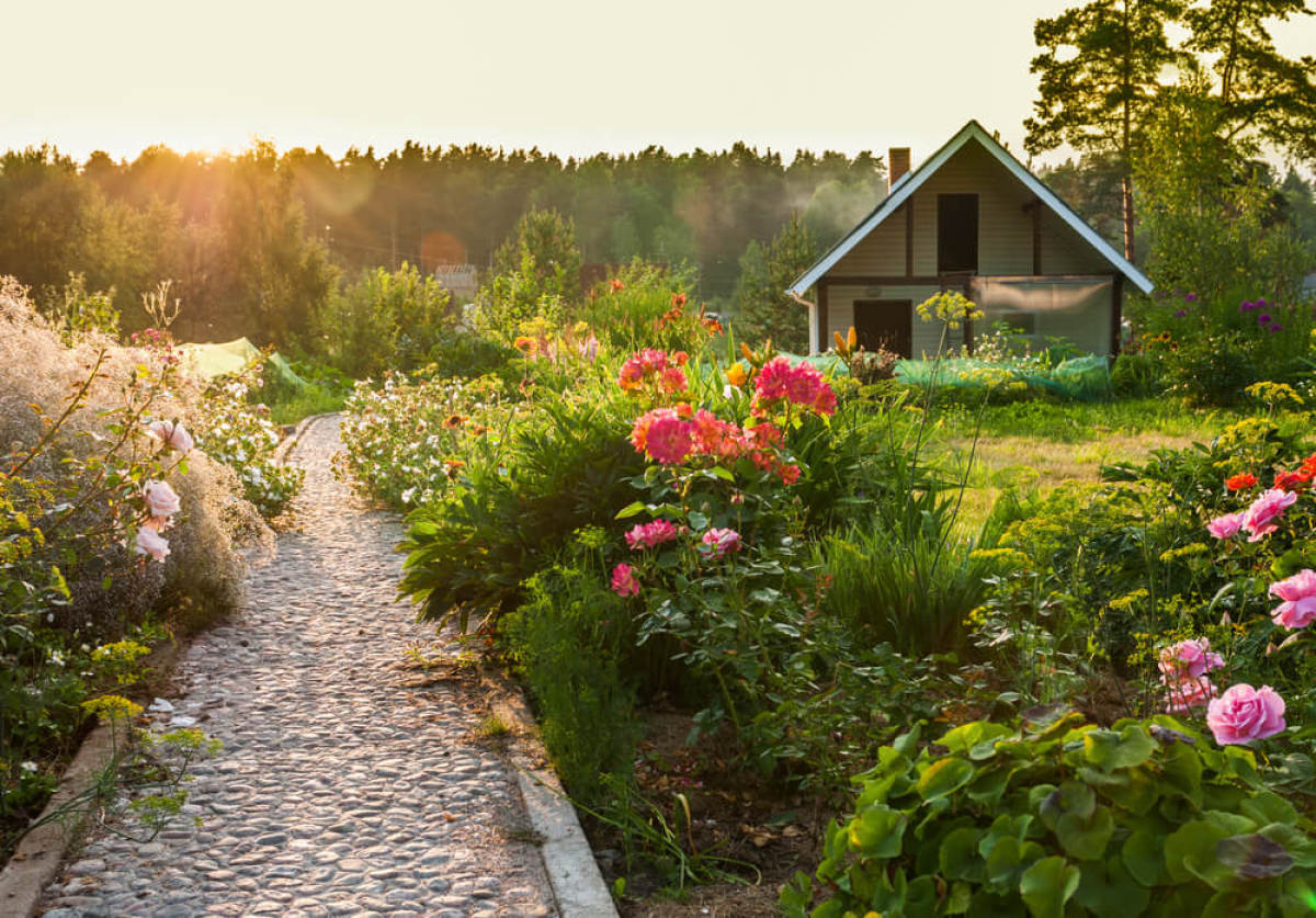 Un jardin d'agrément