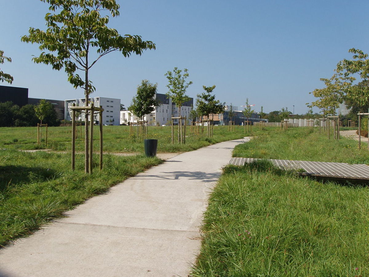 le quartier Beauregard Quincé poursuit son extension au nord est de Rennes avec des programmes collectifs et de maisons neuves