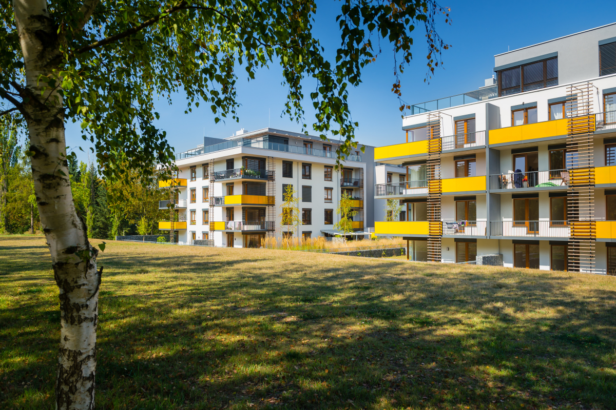 Appartements neufs dans un parc verdoyant