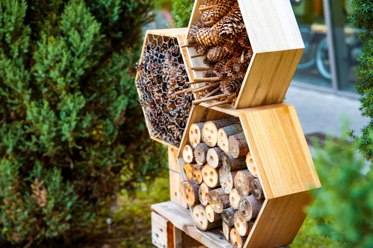 Développement durable à Rennes –  Hôtels à insectes