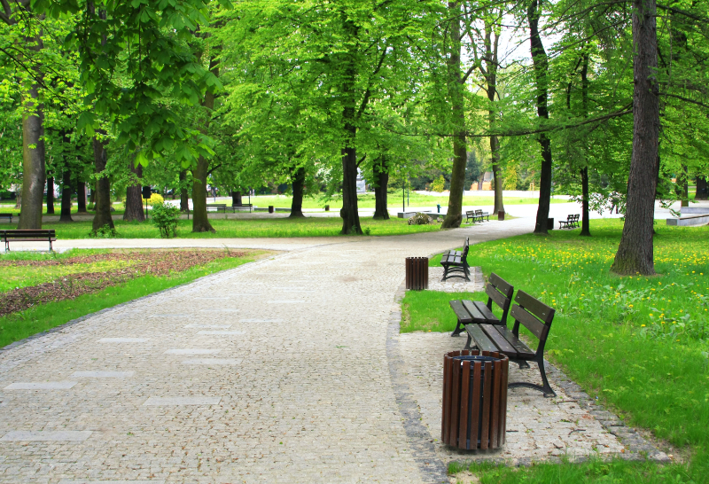 Végétalisation à Rennes - Parc arboré avec chemin de promenade et bancs