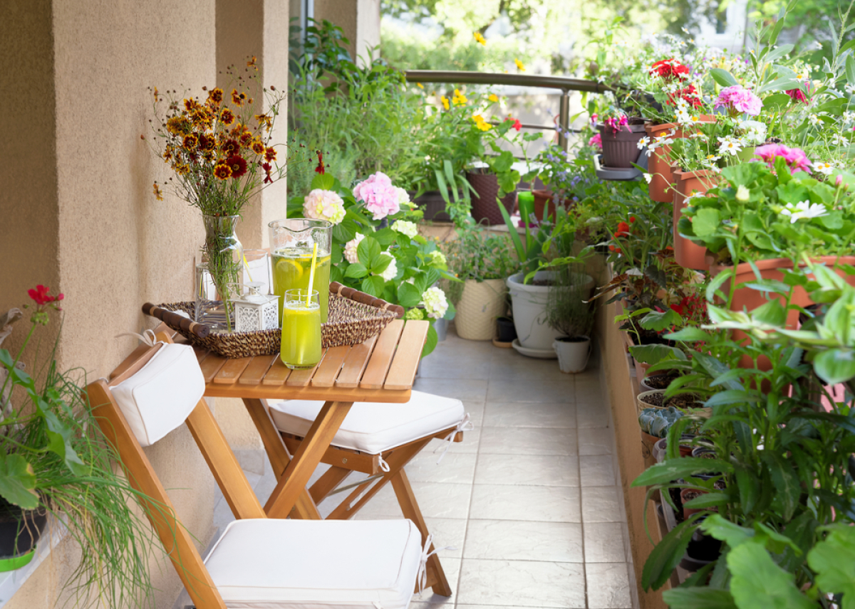 Amenager un balcon — Un balcon filant fleuri et parcouru de nombreuses plantes