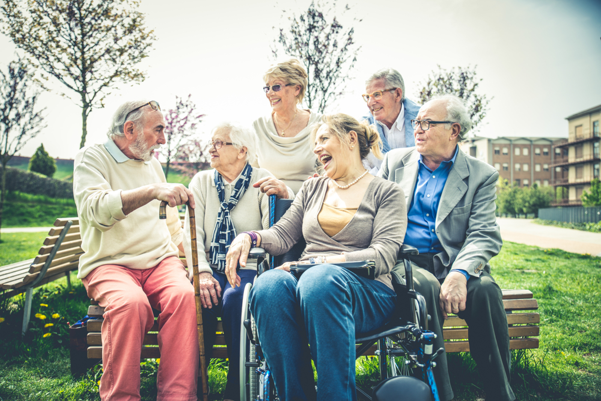 Un groupe de séniors assis sur un banc partage un moment de convivialité