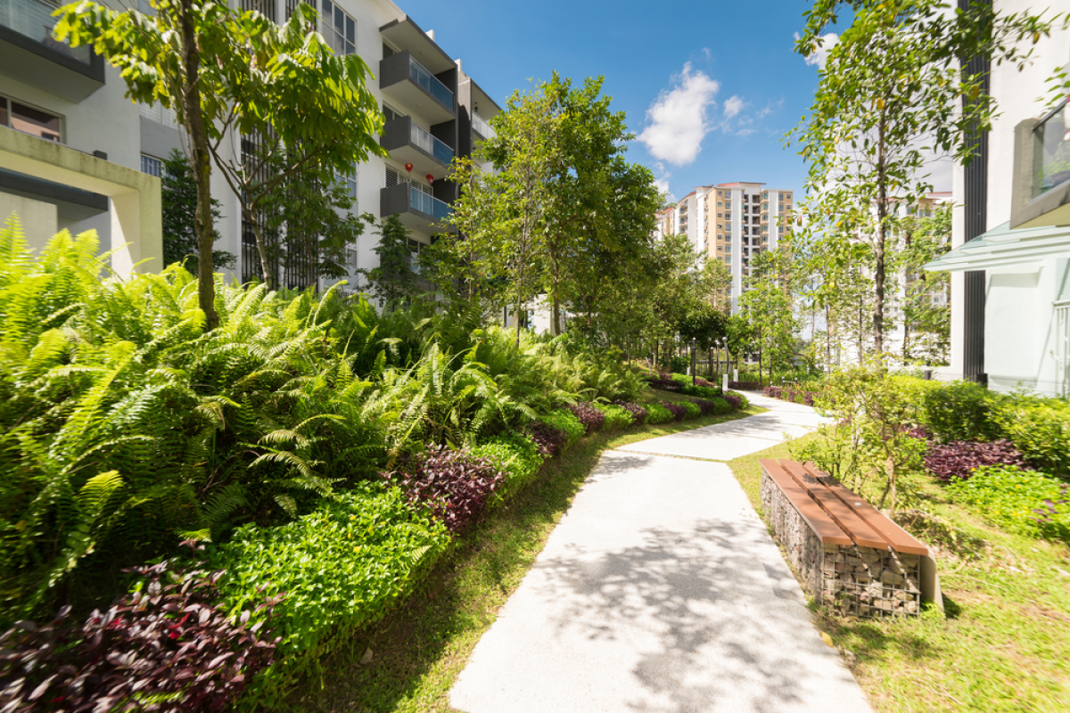 Quartier Cleunay Rennes – Un chemin piéton bordé de verdure