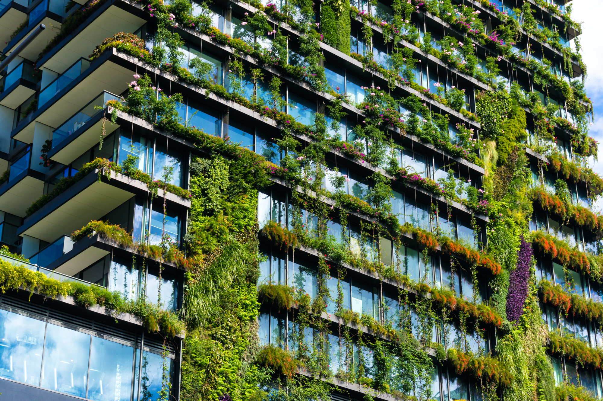 façade d'immeuble couverte de verdure