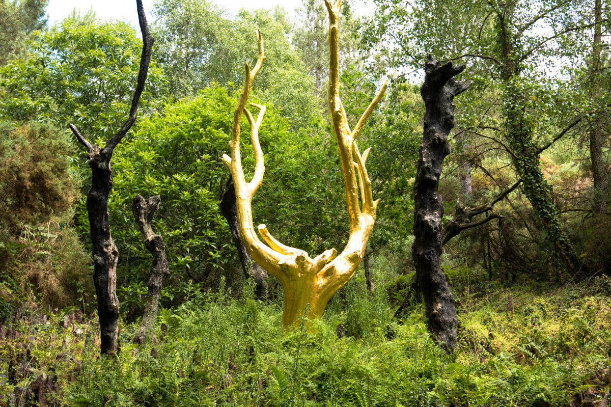 fait-il bon vivre à Rennes ? – l’arbre d’or dans la forêt de Broceliande