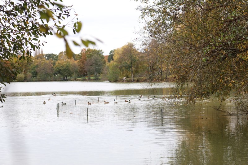 Loi Pinel Saint-Gilles – L'étang du Guichalet à Saint-Gilles