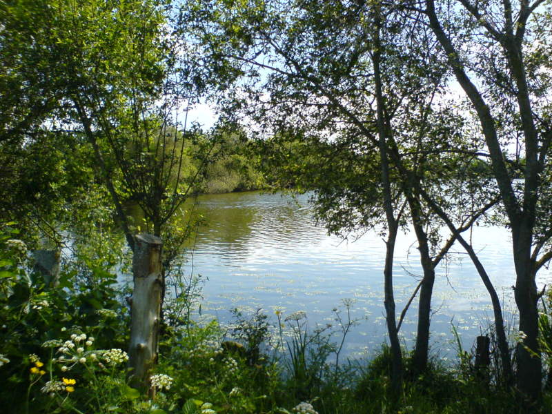 Loi Pinel Le Rheu – L'étang du Rheu