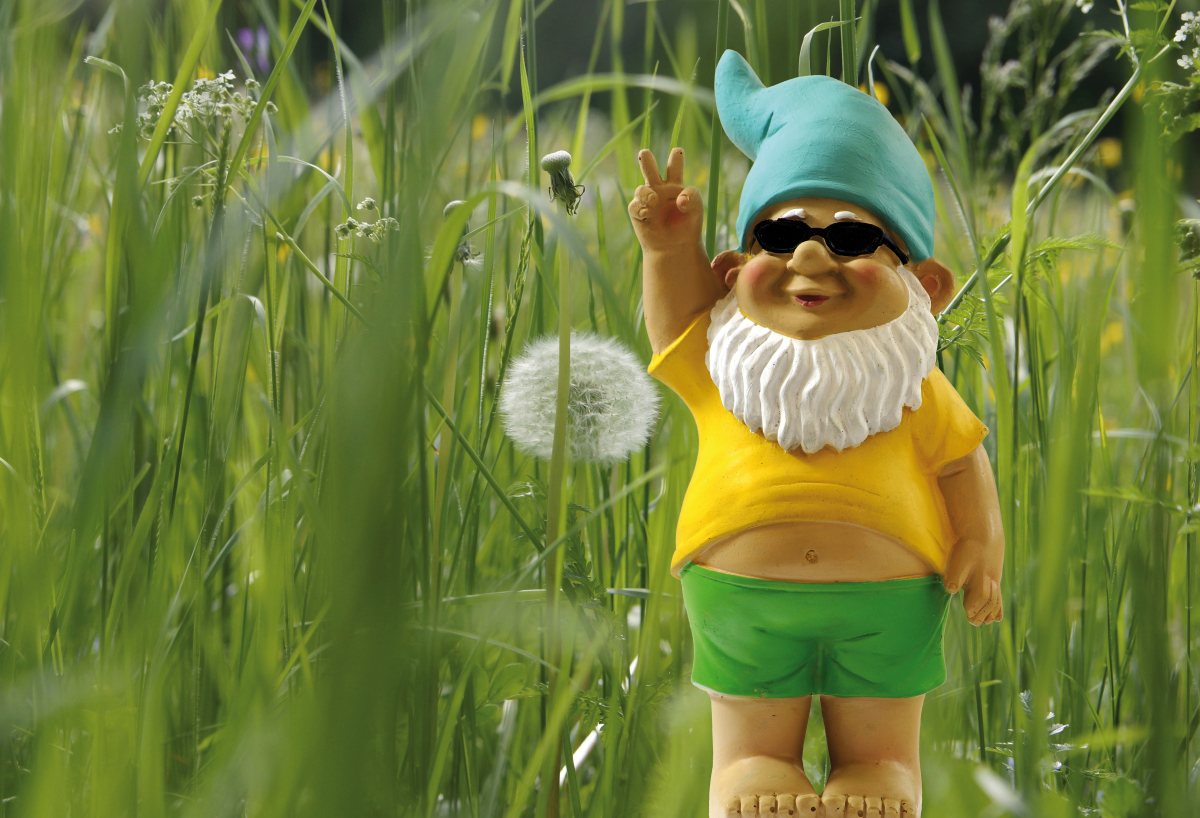 un nain de jardin avec des lunettes de soleil fait le signe de la victoire au milieu des herbes hautes
