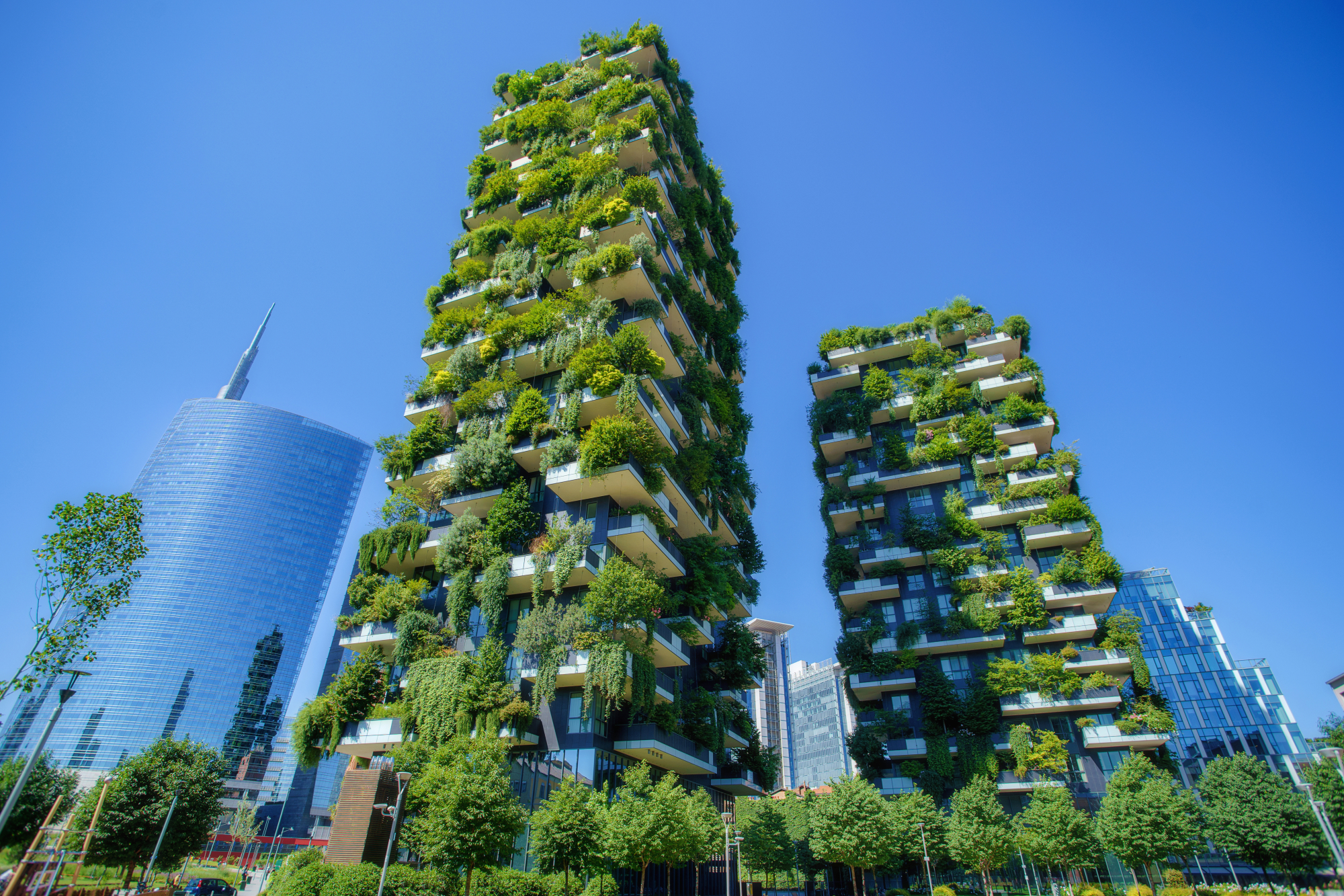 buildings couverts de verdure