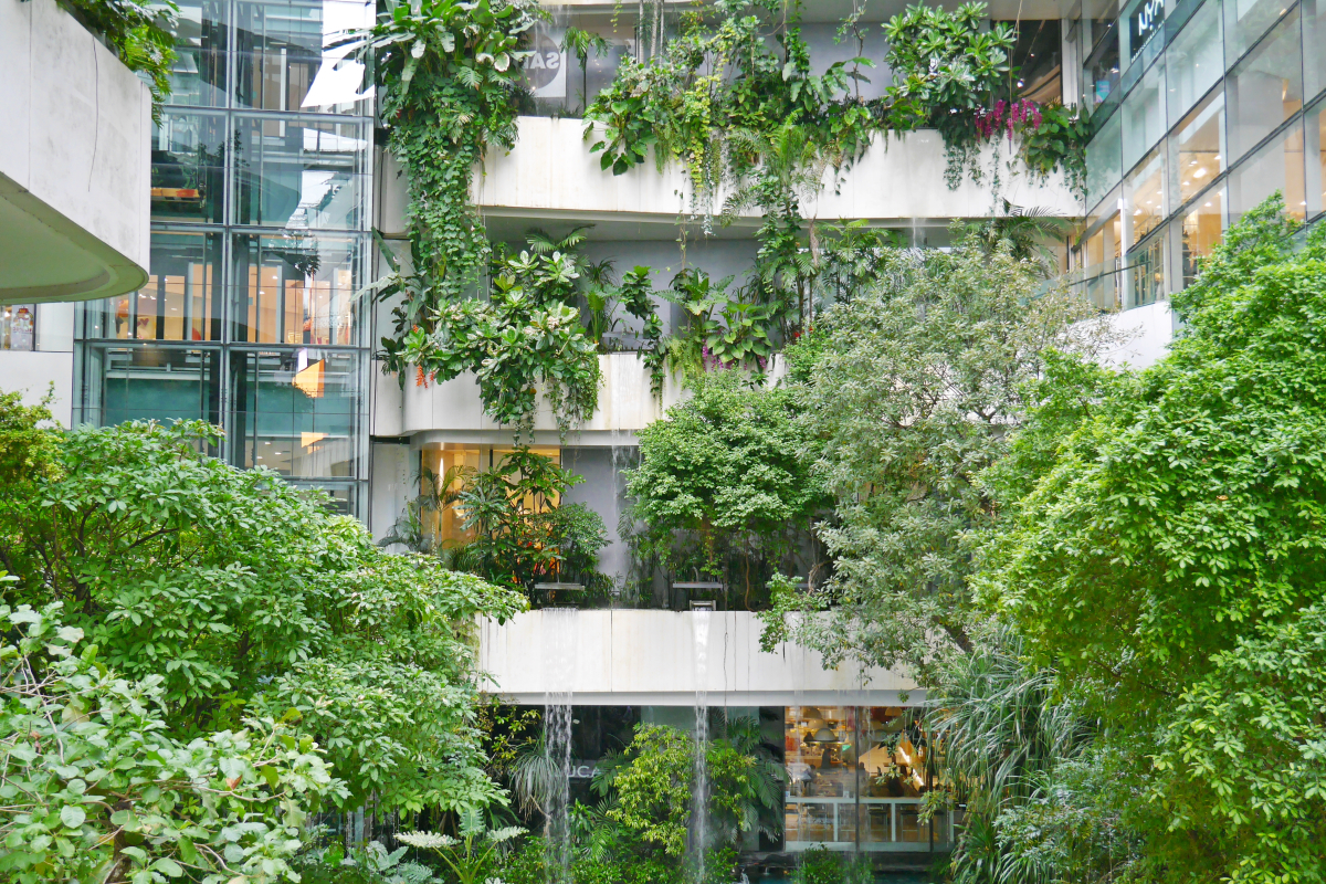 une façade d’immeuble très verdoyante