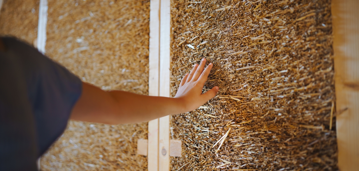 Nouveaux matériaux de construction : Chanvre, Algues... Focus