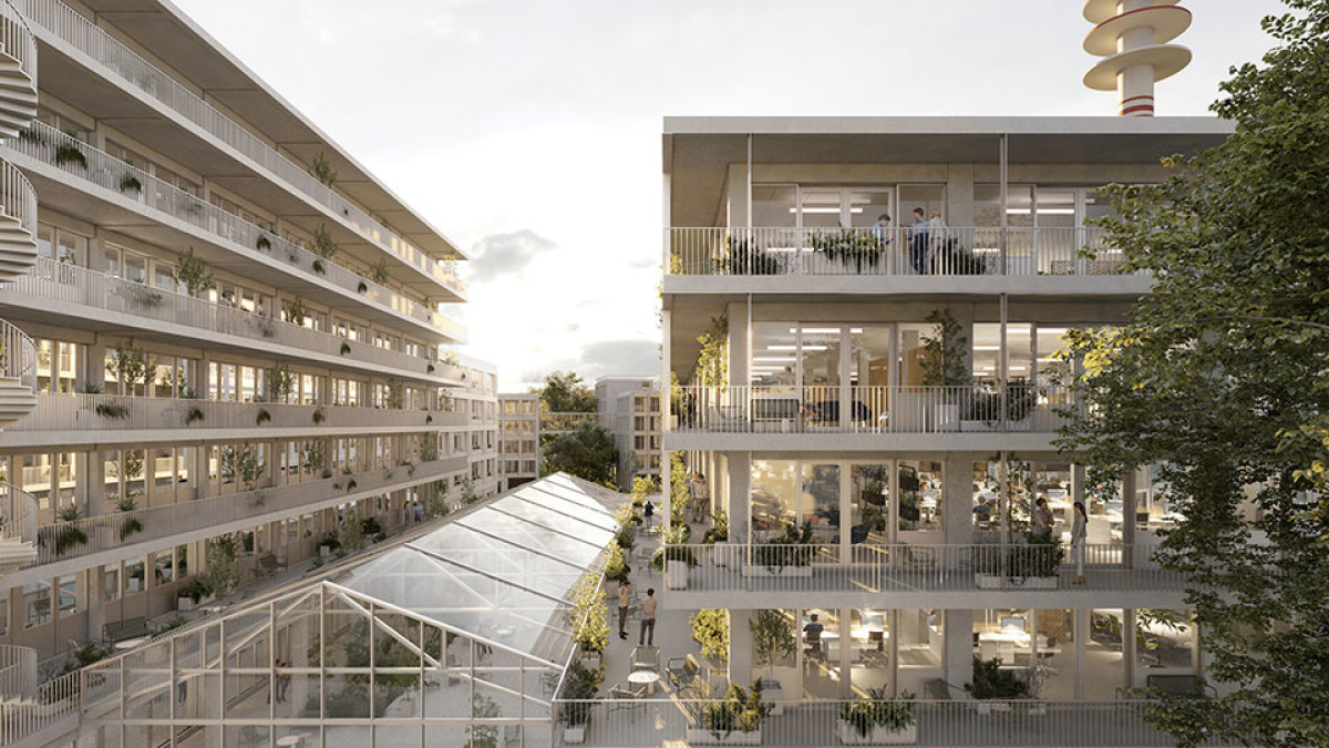 La ruche immobilier tertiaire – la ruche et sa halle centrale