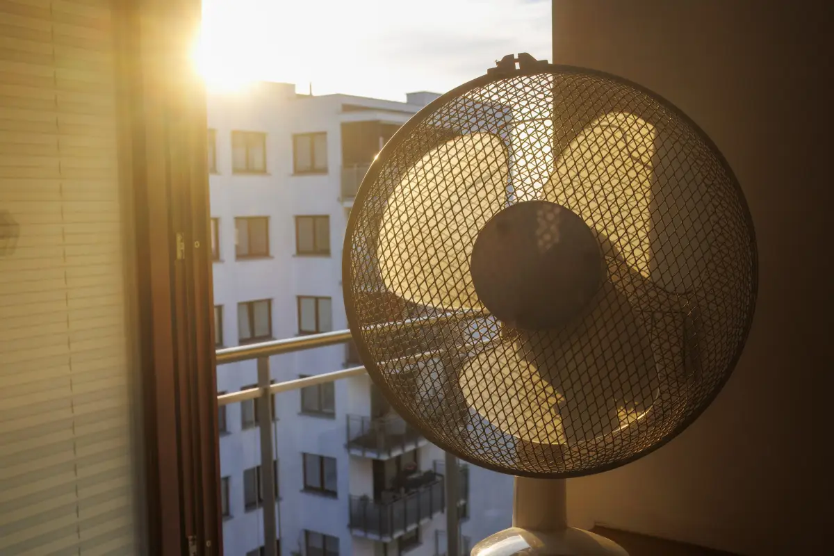 Rafraîchir votre logement sans clim : nos 6 meilleures astuces